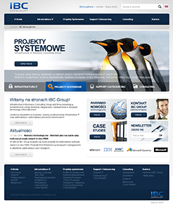 Infrastructure & Business Consulting Group
